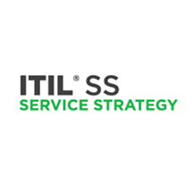 ITIL Service Strategy Online Course (150 days)