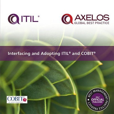 Interfacing and Adopting ITIL® and COBIT®